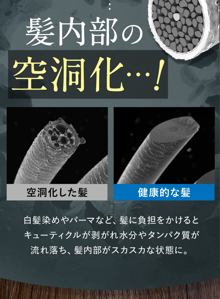 髪内部の空洞化