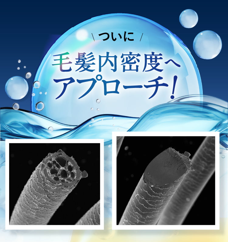 毛髪内密度へアプローチ