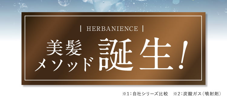 美髪改善メソッド誕生
