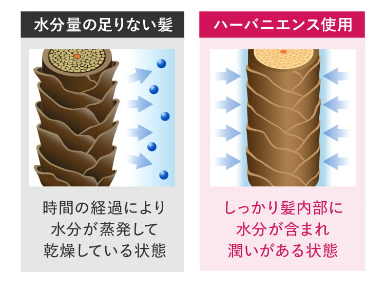 水分キープ